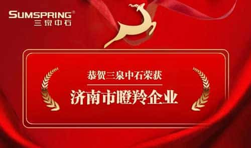 Sumspring三泉中石被認定為“瞪羚企業”(圖1) Sumspring三泉中石被認定為“瞪羚企業”(圖1)